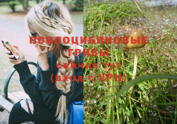 эйфоретик Лиски