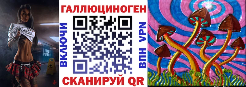 Псилоцибиновые грибы Psilocybe  Нововоронеж 