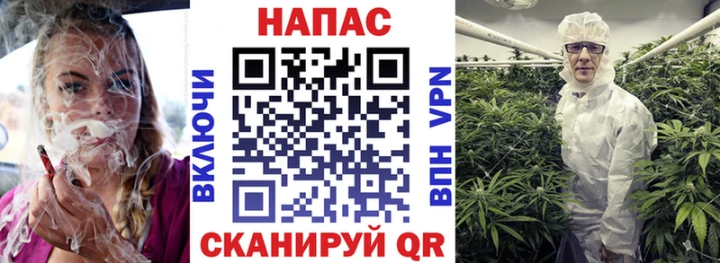 Шишки марихуана сатива  закладка  Нововоронеж 